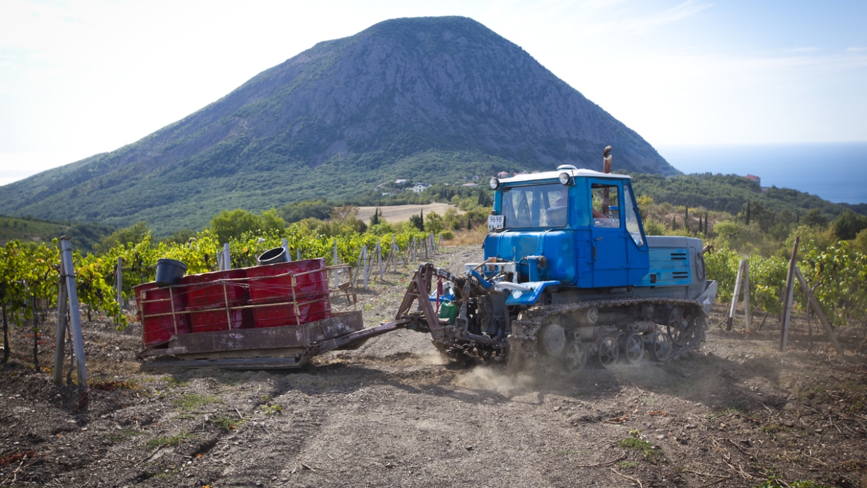 Крым ответил бурным аграрным ростом на выходки Украины с Северо-Крымским каналом Крым ответил бурным аграрным ростом на выходки Украины с Северо-Крымским каналом Общество
