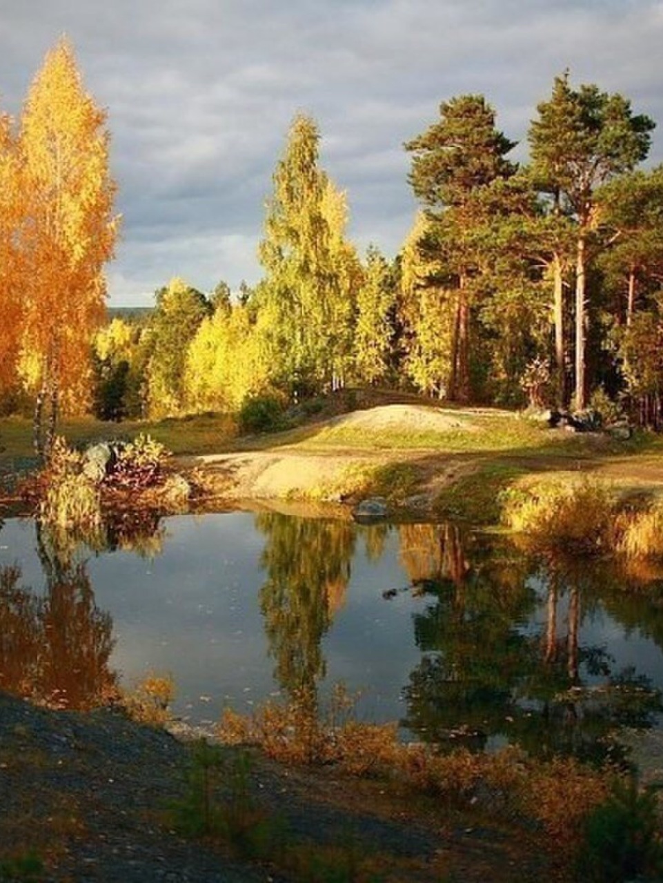 красивый осенний российский пейзаж фото высокого разрешения