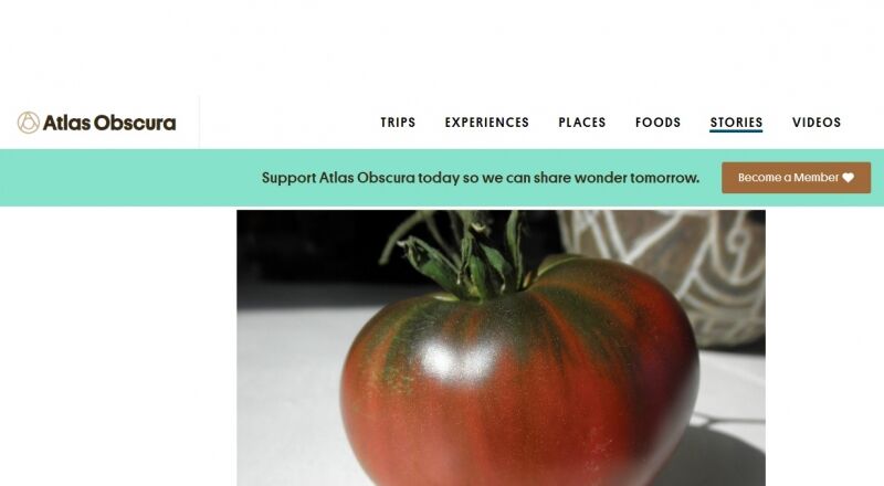 Atlas Obscura: русские помидоры покорили США