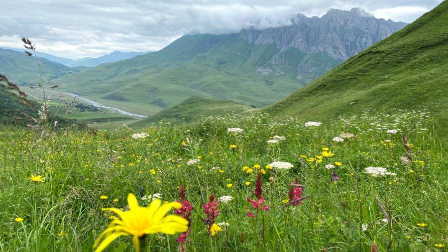 Прогулки за облаками: чем манит туристов Северная Осетия