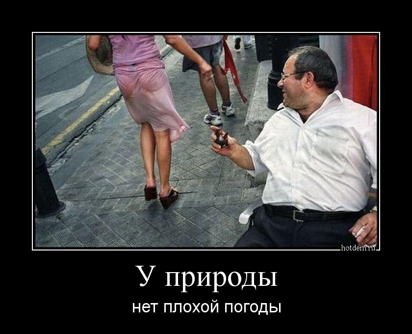 А помните, как Медведев предлагал добавить ещё один выходной день в неделю?! Всего один!!! чтобы, бывает, плюшевую, расположить, Почему, Возрастное, Дайте, объяснить, красную, время, противоречивый,  Прочитала, удобно, характер, себеЖенщину, женщину, нужно, Мохаммеда, нашего, начальника