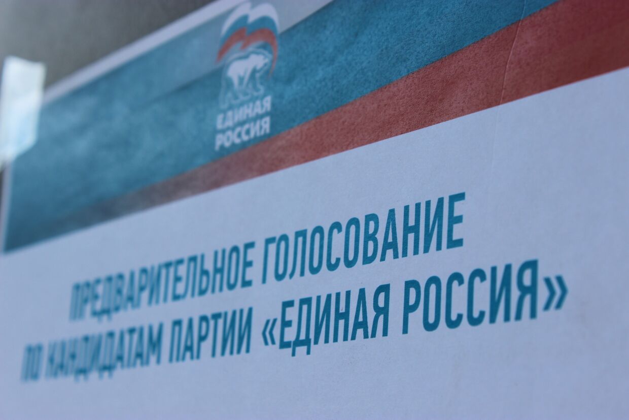 Предварительное голосование картинки