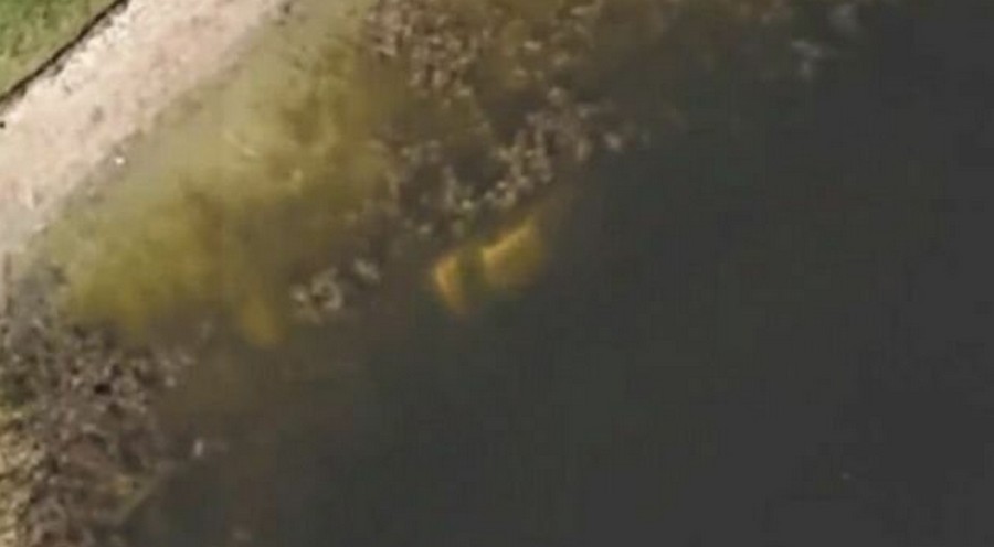 Google Earth и пытливый ум помогли найти останки пропавшего водителя Google Earth и пытливый ум помогли найти останки пропавшего водителя аварии,авто и мото,автоновости