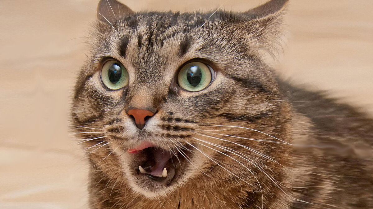 Душевное дело