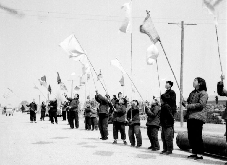 Геноцид воробьёв в Китае: самое страшное решение Мао Цзэдуна