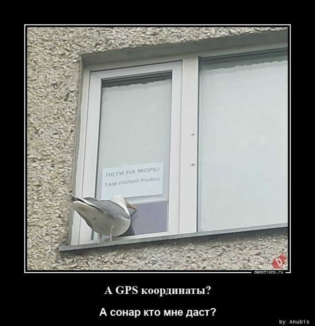 Демотиваторы нового дня: «Лети на море!» 