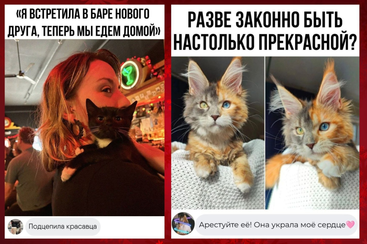 Колкие комментарии, которые как острый соус приправляют сам пост