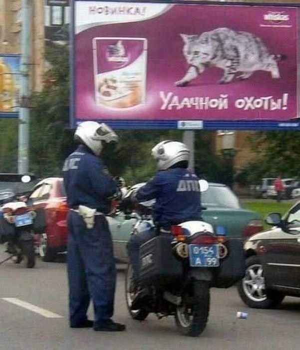 Подборка маразмов Подборка маразмов, юмор