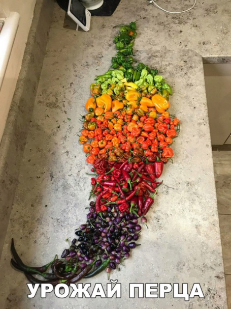 Веселые истории 