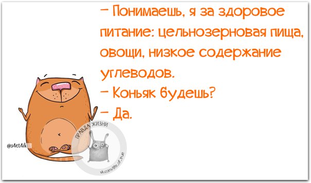 Веселые картинки с фразочками Веселые картинки с фразочками