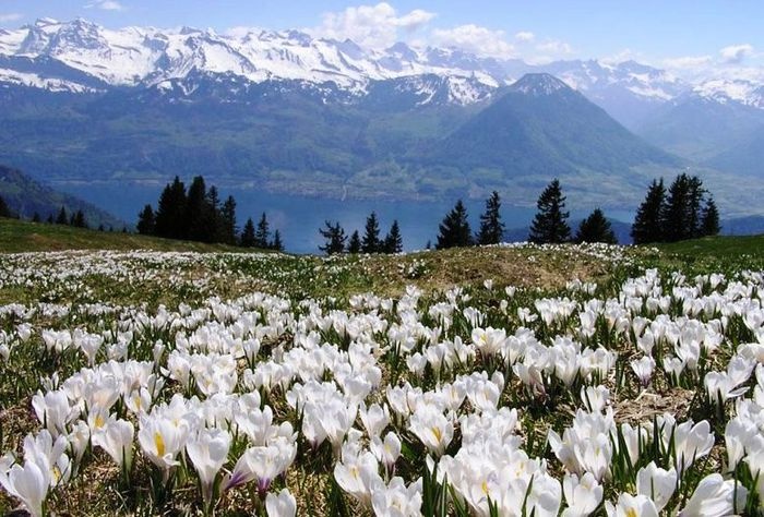 ÐÑÐ¾ÐºÑÑÑ