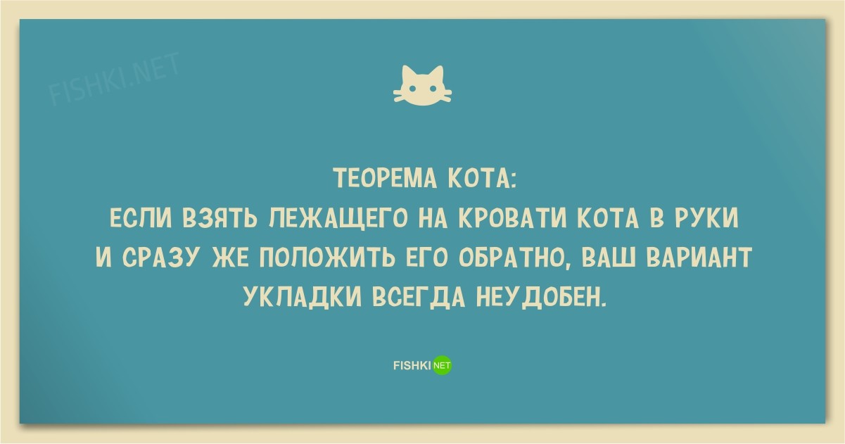 25 смешных анекдотов про кошек и котов