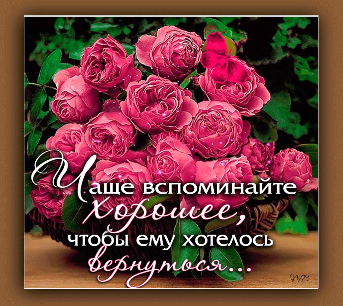 Веселый юмор на злобу дня 