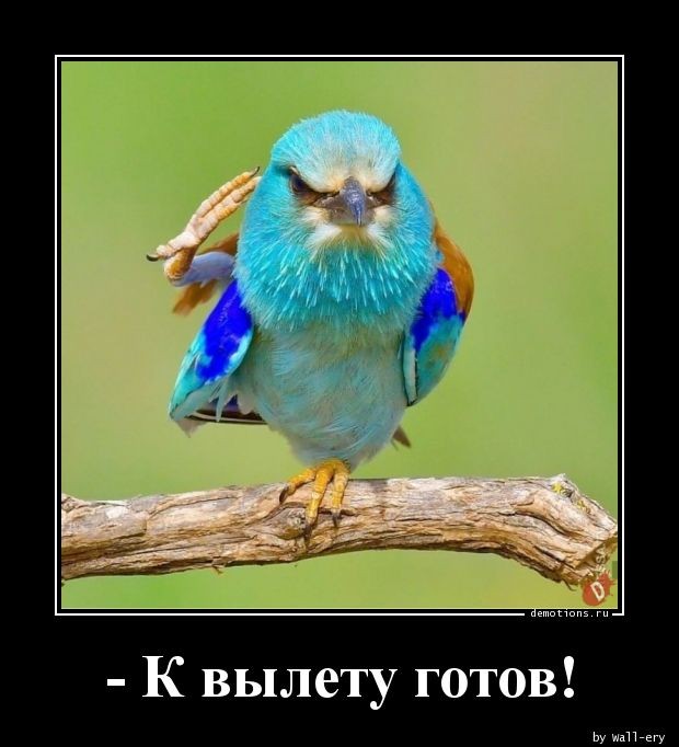 Демотиваторы дня: «Красивое» Демотиваторы дня: «Красивое»