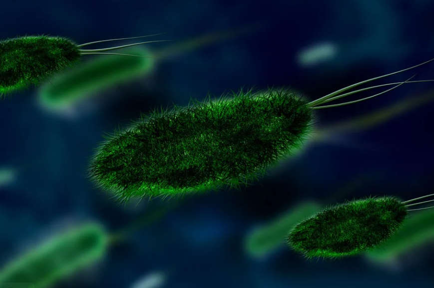Ученые Кембриджского университета создали работающий за счет бактерий компьютер Общество
