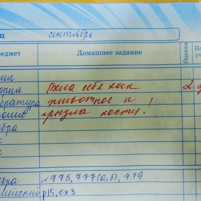 15 замечаний в школьных дневниках, от которых у родителей волосы встают дыбом 15 замечаний в школьных дневниках, от которых у родителей волосы встают дыбом