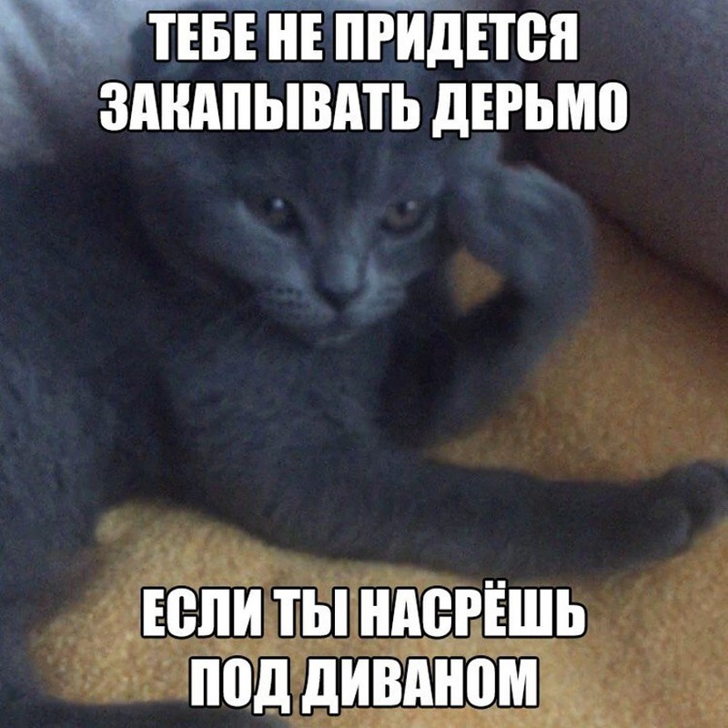 Немного прикольных картинок картинки, подборка картнок, прикол, юмор