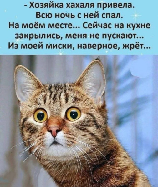 Отличная порция позитива, которая вызовет улыбки и поднимет настроение! 