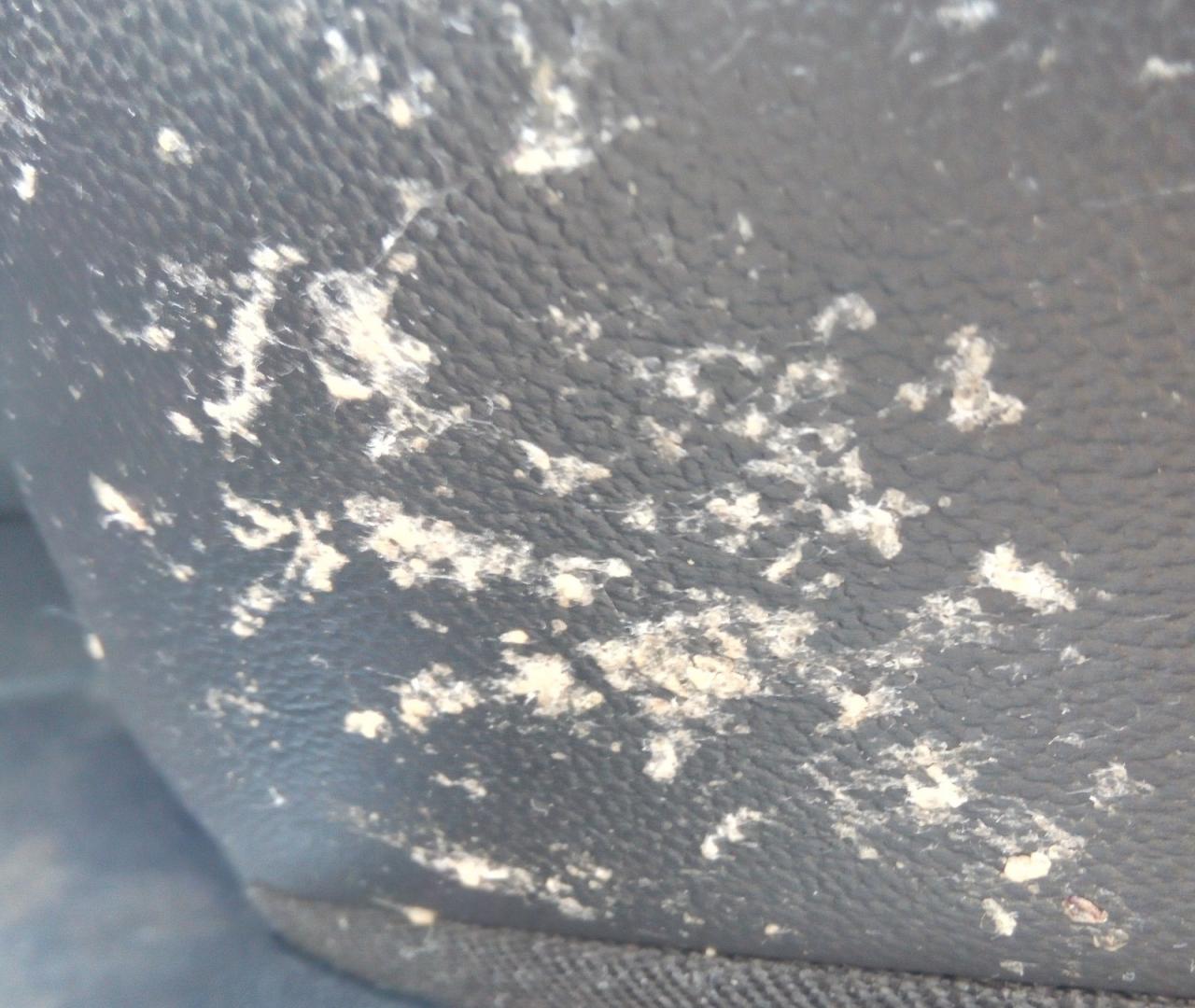 Вам для этого тонировка нужна? Вам для этого тонировка нужна? авто и мото,автоновости