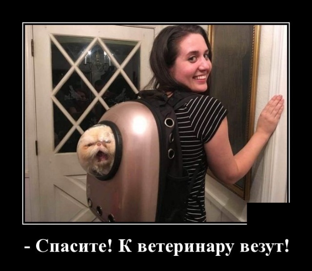 Демотиваторы Демотиваторы демотиваторы