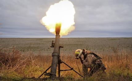 Как «Волчья стая» освобождала «коровник Зеленского» россия,украина