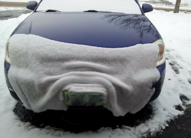 Лучшие автомобильные хохотушки