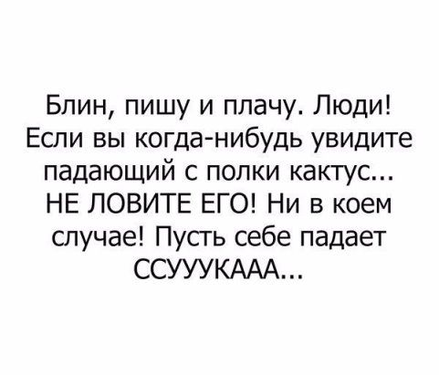 Познакомился с девушкой в интернете. Завели разговор о путешествиях... весёлые