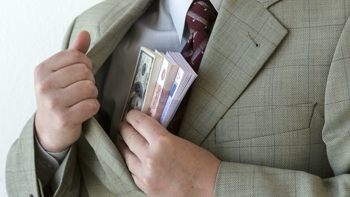 МЕДВЕДЬ ВЫШЕЛ, ПОДСУНУЛ ДОЛЛАРЫ. СЕРГЕЙ МИХЕЕВ О КОРРУПЦИИ ПО-РУССКИ И ОБМАНЕ ЧИНОВНИКОВ