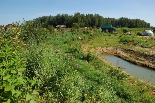 Кратерный сад от Зеппа Хольцера, или Как приобщиться к пермакультуре? сад