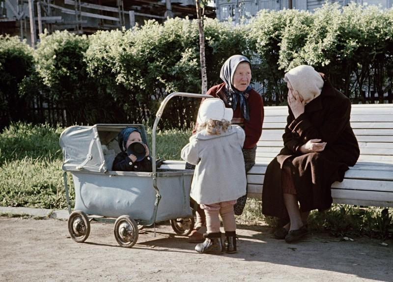 Какой в реальности была жизнь при Сталине. Воспоминания профессора Валерия Антоновича Торгашева война и мир