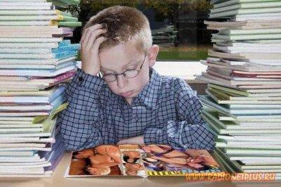 Забавные фотки(21фото)