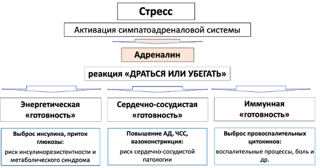 Механизм реализации реакции «бей или беги»