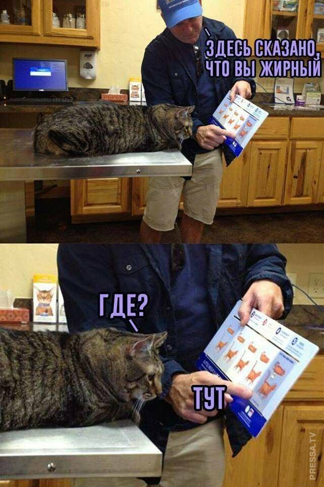 Подборка интересных и веселых картинок №25 Подборка интересных и веселых картинок №25 фото