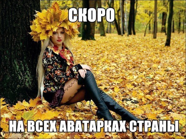 Вот почему осенью лучше уезжать из России листья, осень, печаль, прикол, юмор
