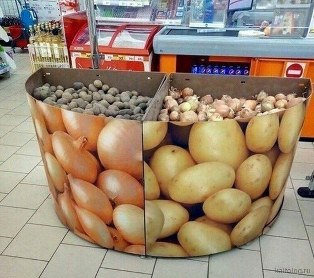 Приколы про лук Приколы про лук