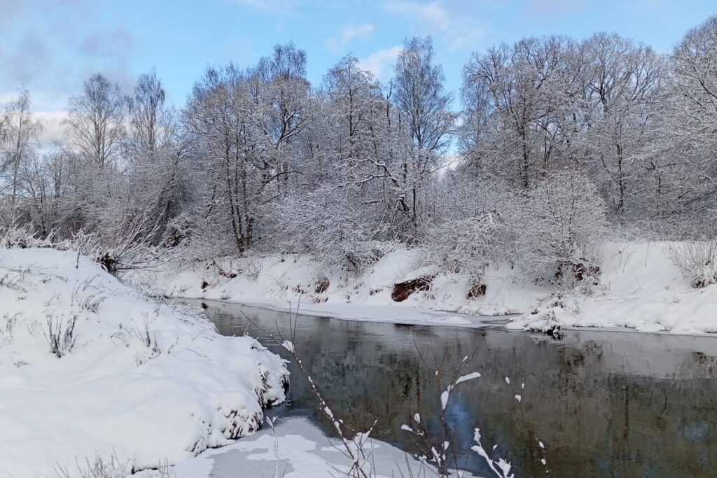 В РАН оценят возможность переброски вод северных рек в Донбасс