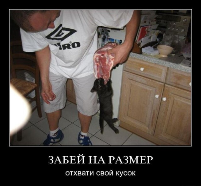 Свежая порция прикольных демотиваторов 