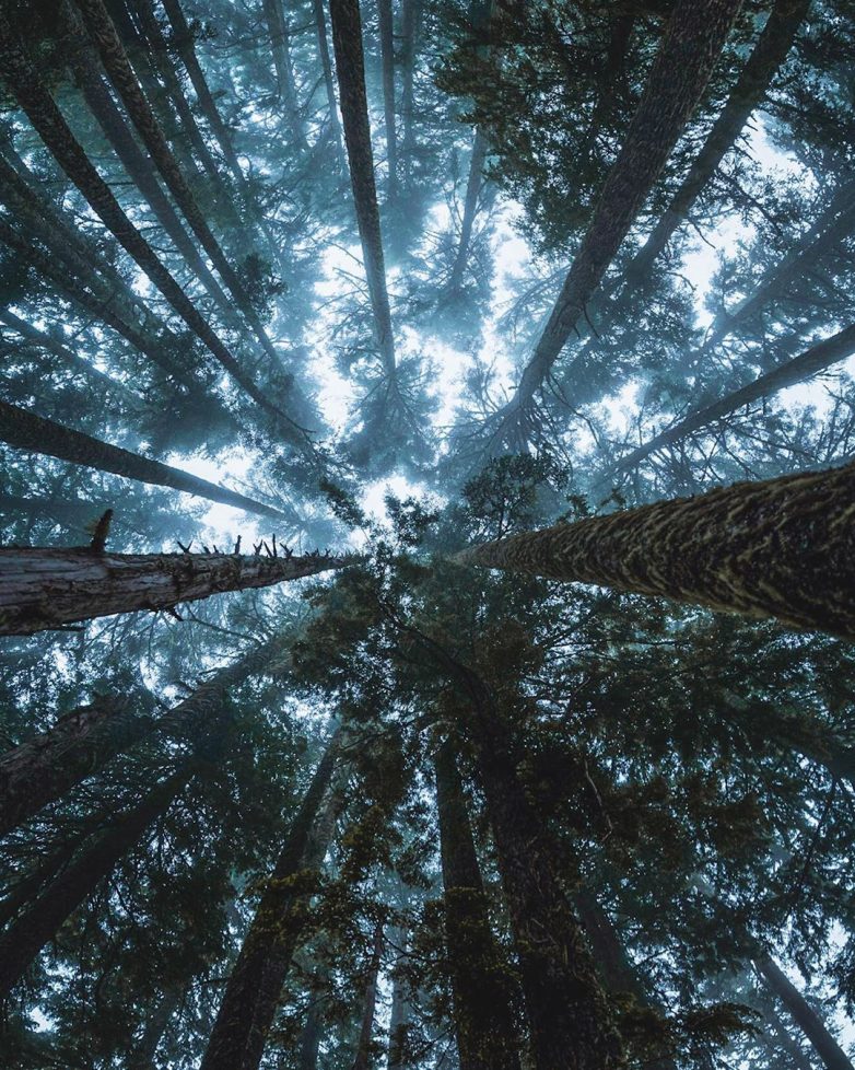 Путешествуй! Фотографируй! Мечтай! путешествие,турист