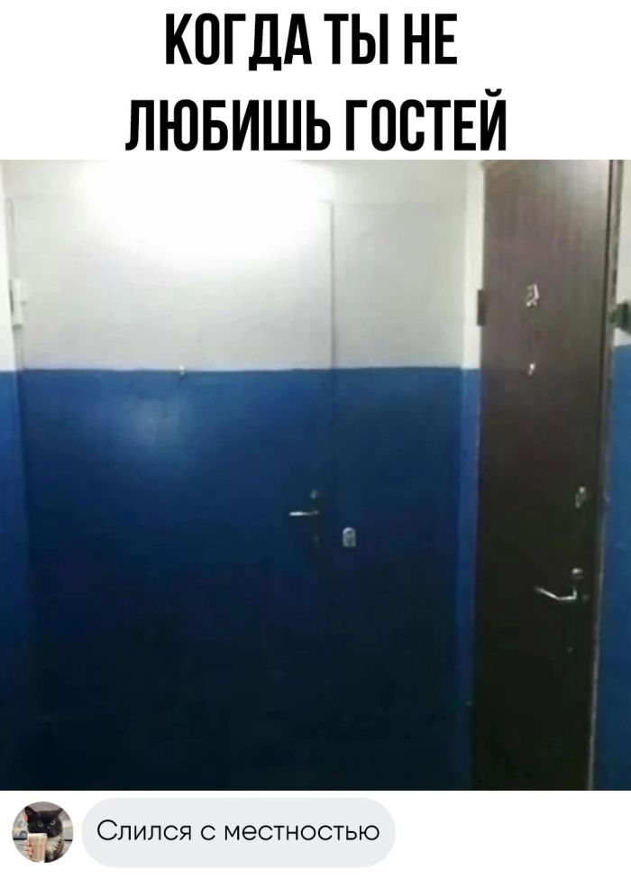 Колкие комментарии, которые как острый соус приправляют сам пост Колкие комментарии, которые как острый соус приправляют сам пост