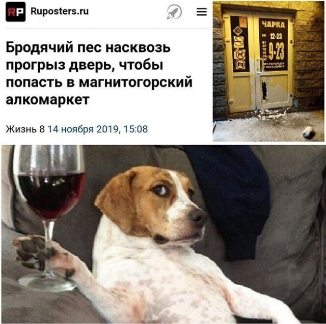 Приколы про алкоголь после прошедших выходных  позитив,смешные картинки,юмор