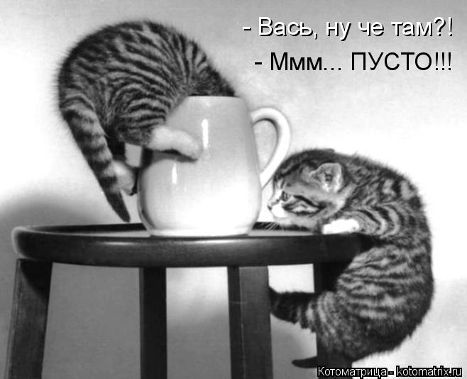 Котоматрица: - Вась, ну че там?! - Ммм... ПУСТО!!!