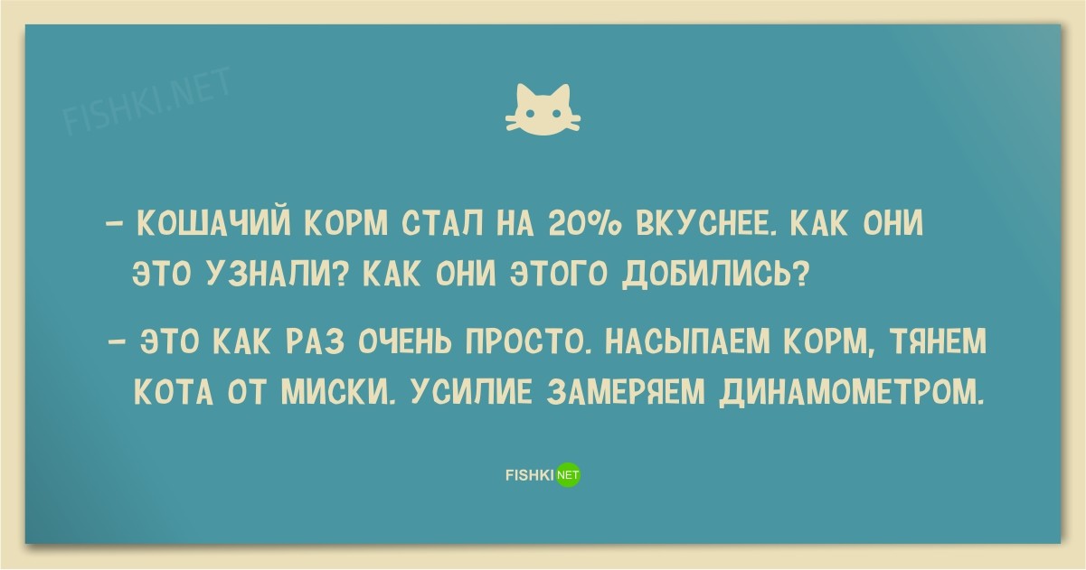 25 смешных анекдотов про кошек и котов