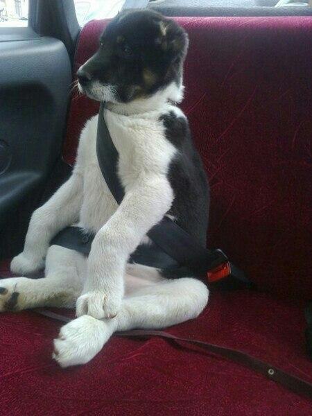 Давайте улыбаться вместе :) Давайте улыбаться вместе :)