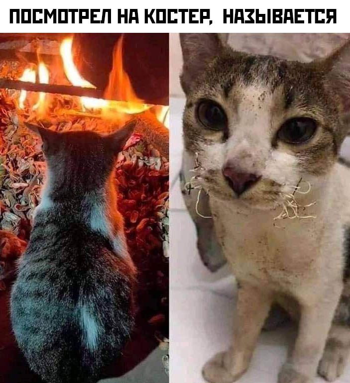 25 лучших хохотушек за последнюю неделю