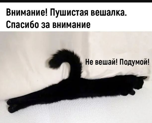 Картинки с приколами для поднятия настроения Картинки с приколами для поднятия настроения