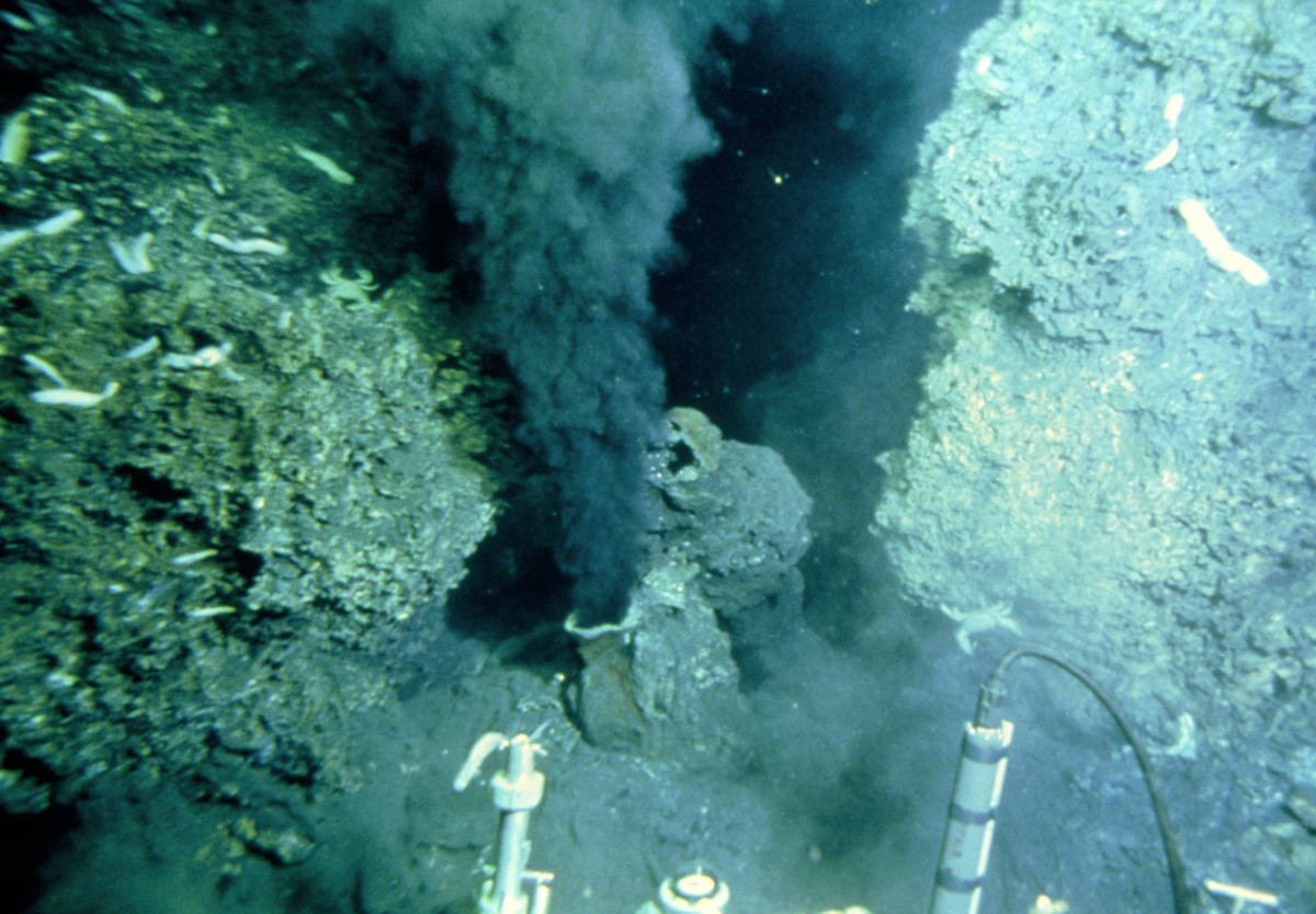 Наука: там, где живут чудовища Наука: там, где живут чудовища наука,чудовища, батискаф, океан, рыбы, черные курильщики