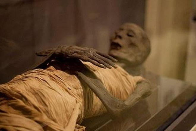 Ученые восстановили ДНК египетских мумий и узнали настоящих предков египтян грузия