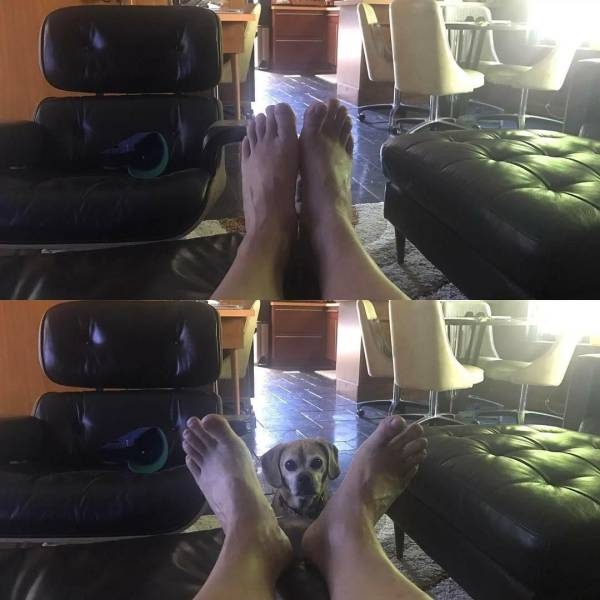 Подборка картинок. Дневной выпуск (51 фото)