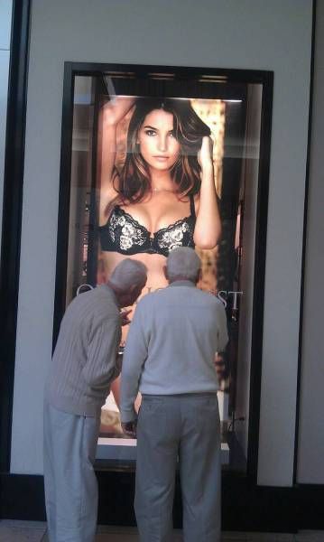 Прикольные картинки. Вечерний выпуск (87 фото)