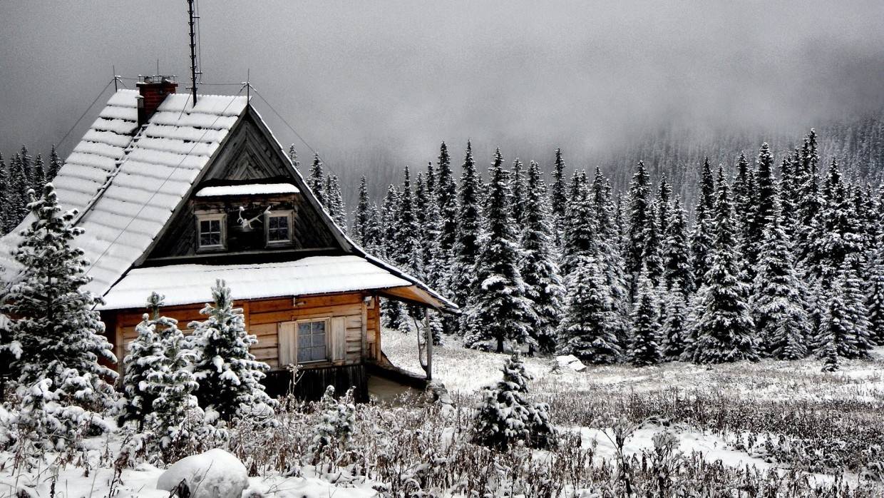 Авторы портала Ogorod дали советы по подготовке дачного дома к зиме